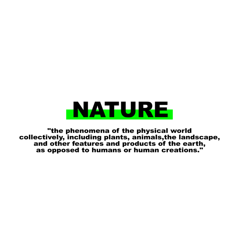 T-Shirt Statement "NATURE" - OLÁ KORK